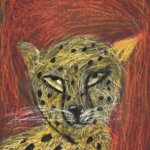 Drawing Animals