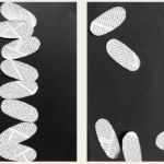 Lesson 1: Arranging Shapes to Create Meaning