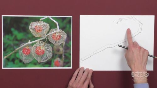 plant image to the left and light skinned hand pointing to place on white paper on the right